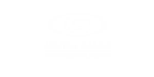 zannicamionesexclusivos.com.ar
